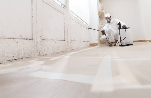 24/7 Emergency Mold Inspection experts in Rocky Mount, NC